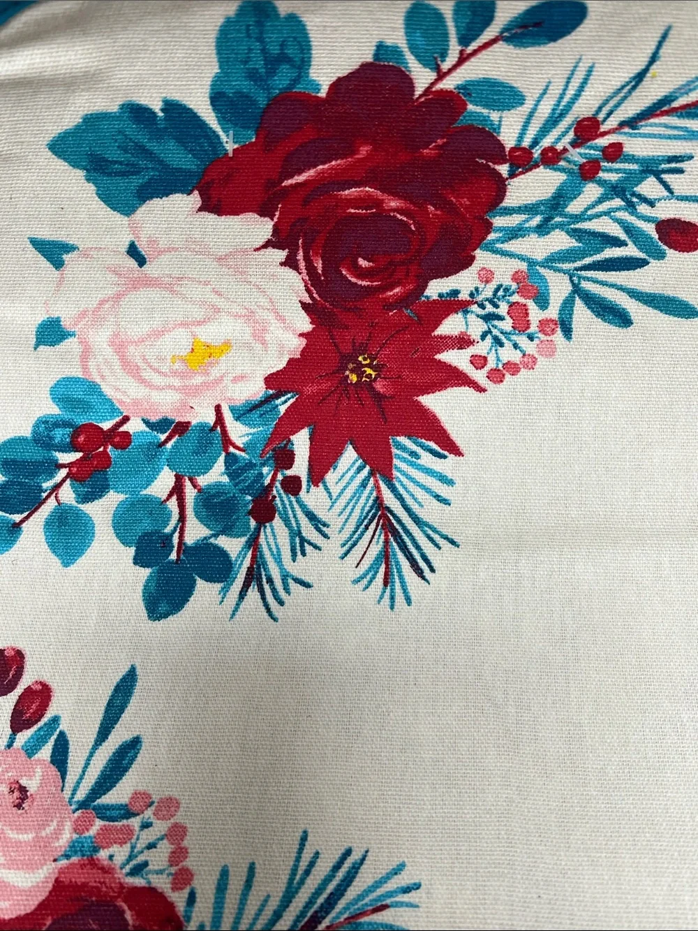 Pioneer Woman set of 4 Wishful Winter floral placemats with Teal trim